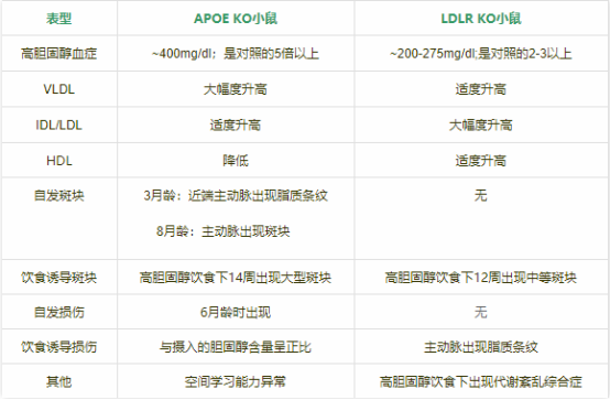ApoE KO自发动脉粥样硬化硬化小鼠模型(图1)